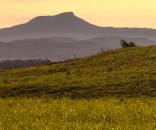 Grassy hillside with a mountain in the background