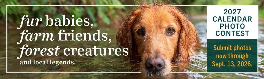 Fur babies, farm friends, forest creatures and local legends - 2027 photo contest